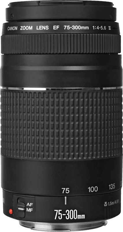 Canon EF 75-300mm f/4.0-5.6 (4960999214078)